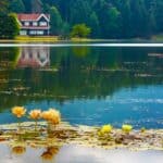 travel-concept-photo-turkey-bolu-golcuk-lake-view_693630-22916